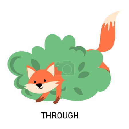 Learning English prepositions with a funny fox and green bush vector isolated. Animal character walking through a green bush. Cute red fox.