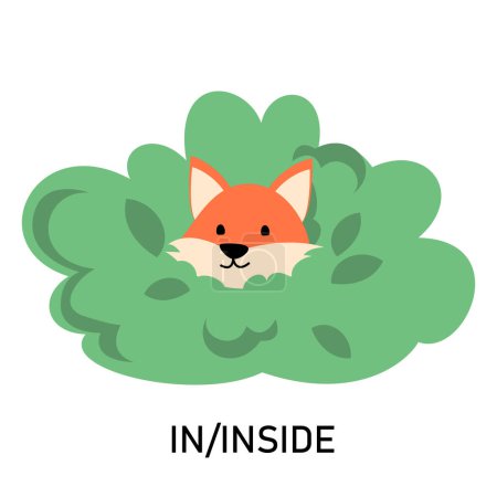 Learning English prepositions with a funny fox and green bush vector isolated. Animal character sitting in a green bush. Cute red fox.