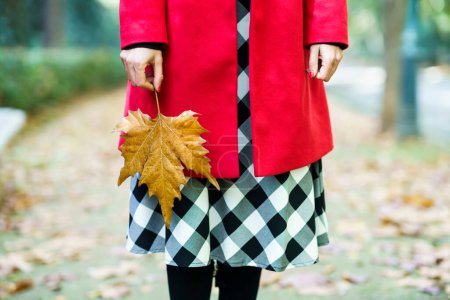 Téléchargez les photos : Cultivez une femelle anonyme portant un manteau rouge et une jupe à carreaux debout avec une feuille d'érable sèche à la main sur un sentier dans un parc d'automne. - en image libre de droit