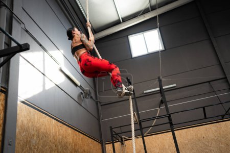 Photo for Low angle view photo with copy space of a strong mature woman training climbing a rope in a cross training center - Royalty Free Image