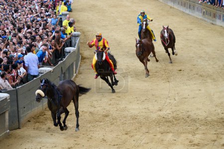 Photo for Siena, Italy - August 17 2022: Palio di Siena Public Horse Race with Empty or Riderless Horses Gallopping on the Piazza del Campo with Jockey or Fantino Scompiglio Jonatan Bartoletti riding for Chiocciola Contrada. - Royalty Free Image