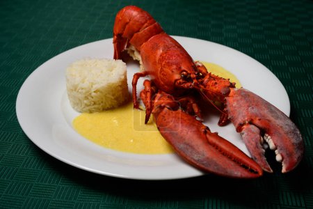 Photo for Lobster a la Newberg Red Cooked  American Seafood Dish with Rice and a Sherry or Cognac Cream Sauce, also spelled Newburg or Newburgh - Royalty Free Image