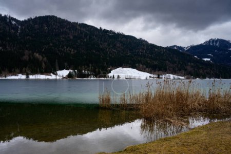 Weißensee Winterlandschaft am Ufer mit Schilf in Kärnten, Österreich