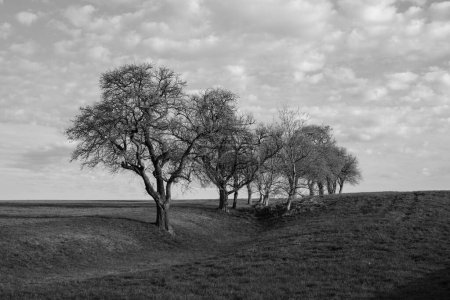 Einfarbige schwarz-weiße Frühlingslandschaft mit kahlen Bäumen und Wiesen im niederösterreichischen Mostviertel