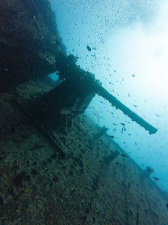 épave SS Thistlegorm pistolet anti-aérien sous-marin à l'arrière dans la mer Rouge, Egypte