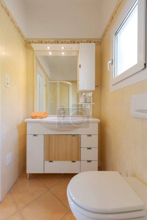 Téléchargez les photos : Vue de face de l'armoire de salle de bain avec lavabo, miroir et savon. Derrière, il y a la douche. Personne à l'intérieur - en image libre de droit