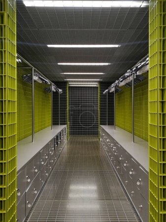 Foto de Armario hecho de rejillas gris-verde. Espacio conceptual moderno y vanguardista. No hay nadie adentro - Imagen libre de derechos