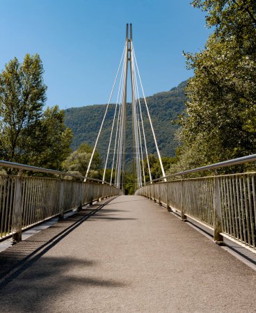 Photo for Pedestrian footbridge in the middle of the forest, beautiful architecture comn a great engineering study. The object is located in Switzerland, it is a sunny day in the middle of summer. - Royalty Free Image