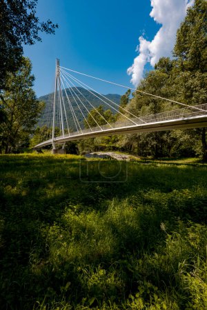 Photo for Pedestrian footbridge in the middle of the forest, beautiful architecture comn a great engineering study. The object is located in Switzerland, it is a sunny day in the middle of summer. - Royalty Free Image
