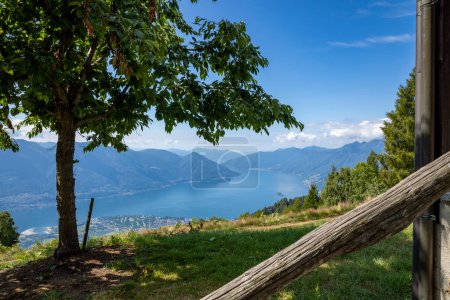 Foto de Vista panorámica del lago Maggiore en Suiza, en el lado izquierdo un árbol que proporciona sombra, es un día de verano con gran sol y cielo azul - Imagen libre de derechos