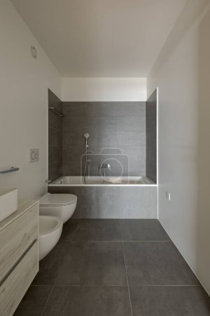 Téléchargez les photos : Vue de face d'une salle de bain avec sanitaires à droite et d'une baignoire avec douche à l'extrémité. Grandes tuiles de marbre. - en image libre de droit