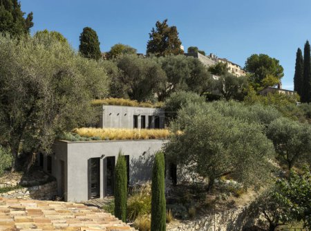Téléchargez les photos : Vue aérienne d'une maison de campagne moderne en béton brut sur un terrain plein d'oliviers. Une belle journée ensoleillée en pleine nature. - en image libre de droit