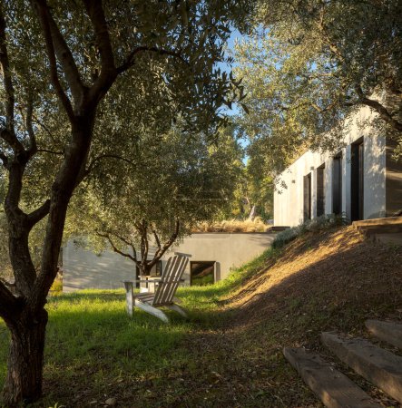 Téléchargez les photos : Extérieur d'une maison neuve en béton sur une propriété avec oliviers. Il y a deux chaises en bois sur l'herbe. C'est une belle journée avec beaucoup de soleil, et la propriété est entourée par la nature. - en image libre de droit