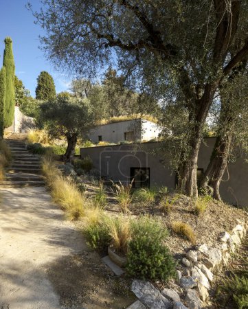 Téléchargez les photos : Maison moderne entourée d'oliviers, construite sur un terrain mitoyen. La maison est faite de béton brut. Personne à l'intérieur - en image libre de droit