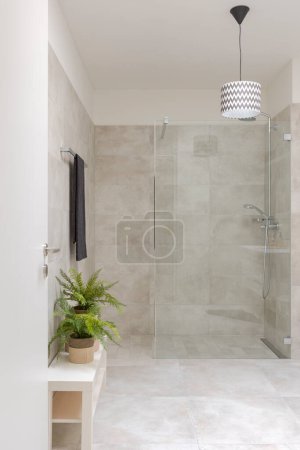 Modern bathroom interior with shower and glass partition. On the right two small plants. No people inside.  Bright and welcoming space. The shower is off and everything is very clean.
