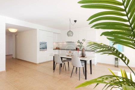 Photo for Interior of modern furnished flat with open kitchen and large dining room. A table with four chairs and the sun coming in directly from the left.  Green plants provide the decor. - Royalty Free Image