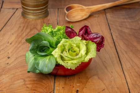 Photo for Four salads in a cup on an antique wooden table: green grumolo chicory, radicchio from Chioggia, radicchio from Castelfranco and curly salad. - Royalty Free Image