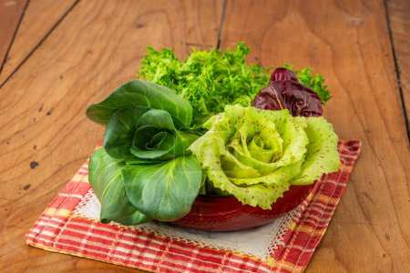Foto de Cuatro ensaladas en una taza sobre una mesa de madera antigua: achicoria grumolo verde, radicchio de Chioggia, radicchio de Castelfranco y ensalada rizada. - Imagen libre de derechos