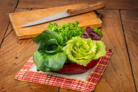 Foto de Cuatro ensaladas en una taza sobre una mesa de madera antigua: achicoria grumolo verde, radicchio de Chioggia, radicchio de Castelfranco y ensalada rizada. - Imagen libre de derechos