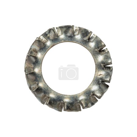 Zinc-plated serrated fan washer for threaded tube, isolated on white backbround