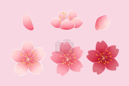 Téléchargez les illustrations : Elégant élément de fleur de cerisier isolé sur fond rose clair. - en licence libre de droit