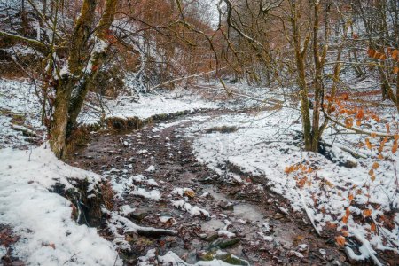 The Helle creek and gorge in the Helletal valley in Winterberg in snow