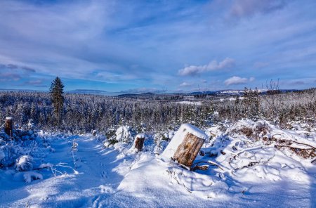 Foto de Snow landscape on the Rothaarsteig hiking trail near Winterberg in winter - Imagen libre de derechos