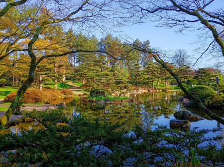 Japanischer Garten im Park in Düsseldorf
