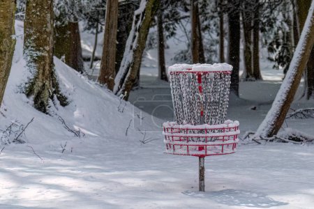 Téléchargez les photos : Panier de golf sur disque dans la neige couverte du parc - en image libre de droit
