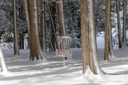 Téléchargez les photos : Panier de golf sur disque dans la neige couverte du parc - en image libre de droit