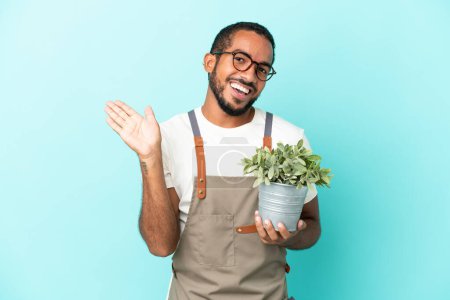 Photo for Gardener latin man holding a plant isolated on blue background saluting with hand with happy expression - Royalty Free Image
