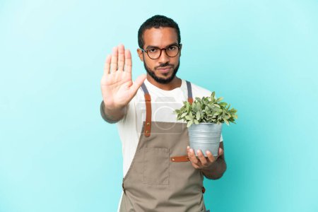 Téléchargez les photos : Jardinier latin homme tenant une plante isolée sur fond bleu faisant geste d'arrêt - en image libre de droit