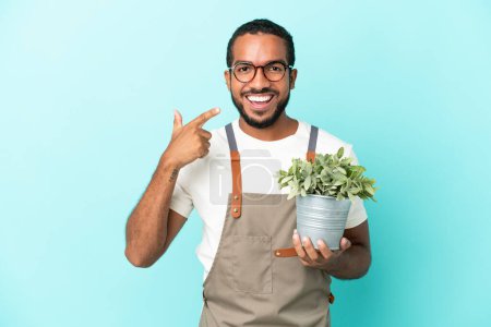 Téléchargez les photos : Jardinier latin homme tenant une plante isolée sur fond bleu donnant un pouce geste - en image libre de droit