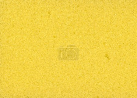 Close up yellow natural sponge texture. Abstract porous background.