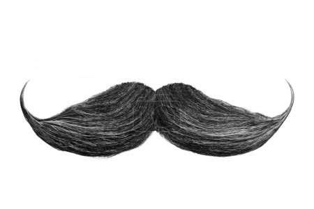 Téléchargez les photos : Moustache noire bouclée isolée sur fond blanc - en image libre de droit