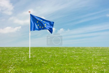 Téléchargez les photos : Drapeau flottant de l'Union européenne sur une prairie d'herbe fleurie - en image libre de droit