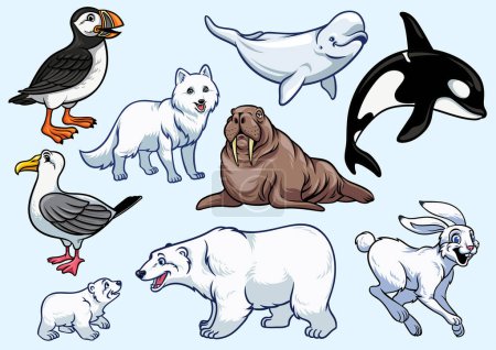 Illustration for Arctic Animal Set in Drawign Cartoon style - Royalty Free Image