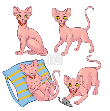vector cartoon of cute sphynx cat set