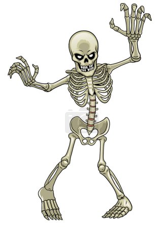 Illustration for Cartoon of skeleton ghost - Royalty Free Image