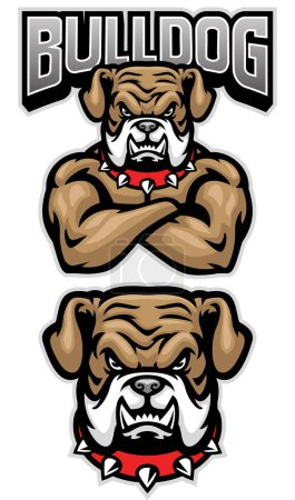 fierce bulldog fighter mascot crossed arm pose