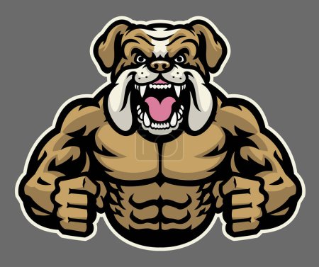 vector of muscle angry bulldog mascot