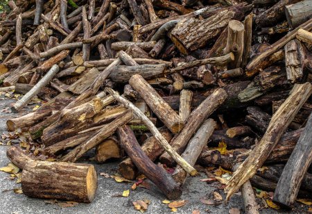 Photo for A pile of firewood is piled chaotically - Royalty Free Image