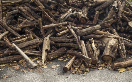 Photo for A pile of firewood is piled chaotically - Royalty Free Image