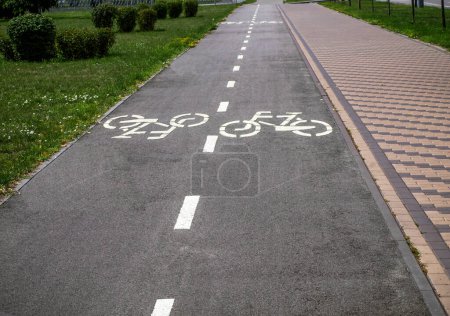 Téléchargez les photos : Voie réservée aux vélos sur route - en image libre de droit