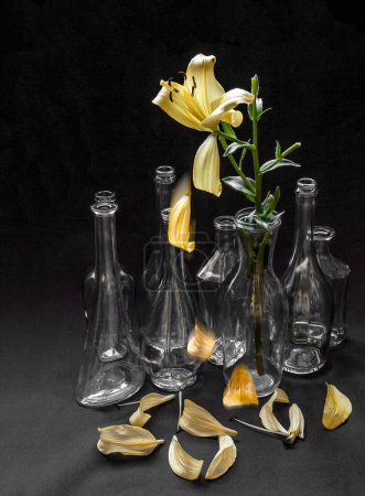 Foto de Composición con botellas y flor de lirio amarillo marchita - Imagen libre de derechos