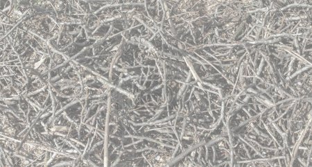 Chaotic background of thin dry branches