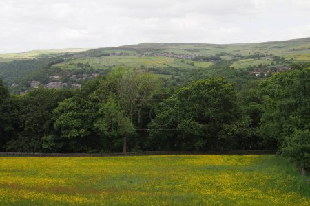 Photo for Spring meadow covered in yellow flowers in the calder valley overlooking hebden bridge and the village of old town - Royalty Free Image