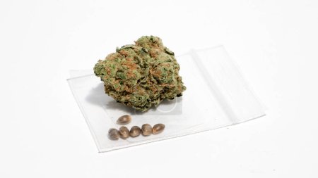 Foto de Semillas de cannabis en bolsa con flor - Imagen libre de derechos