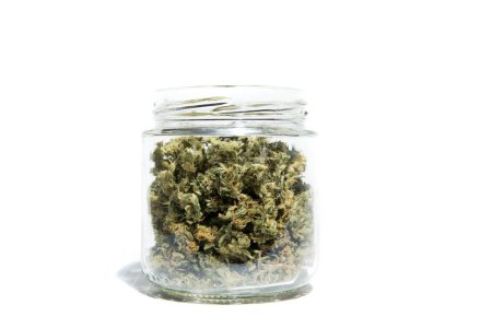 Jar with cannabis isolated on white background