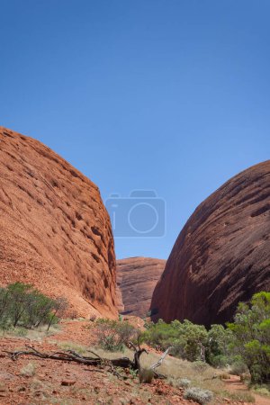 Foto de Impresionantes cúpulas de The Olgas, Territorio del Norte, Australia - Imagen libre de derechos